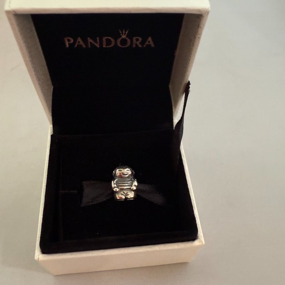 Pandora Boy Charm - Sterling Silver 925 Authentic Charm/ Bead 790360 Retired